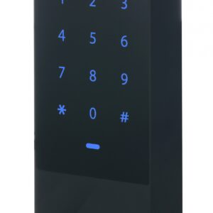 Dahua AC Standalone With Touch Keypad IP66 ASI1201E-V1