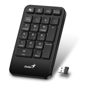Genius Keyboard Numeric Pad Wireless AI w/Palm Rest NumPad 1000
