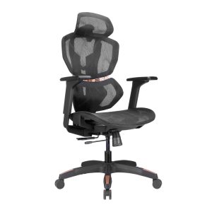 Lumivida Gaming/Office Chair Ergonomic Mesh Lumbar Support Adjustable Seat/Armrest CH09-8 Black